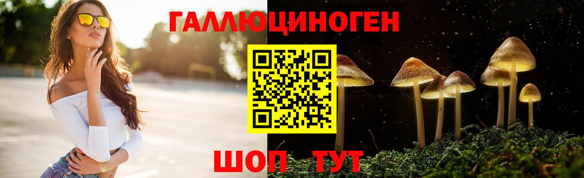 Галлюциногенные грибы Psilocybine cubensis  Вход с VPN  Галлюциногенные грибы мухоморы  Владивосток 
